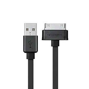 Synchronisation des données USB tressé en nylon Wayona et Câble de banque à courte puissance 3A pour iPhones, iPad Air, iPad Mini, iPod nano et iPod Touch (Gray)